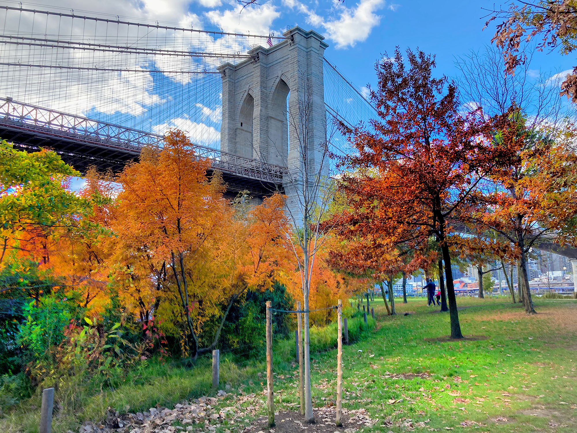 Brooklyn Bridge Park, NYC sightseeing, NYC tours, NYC Tour guide