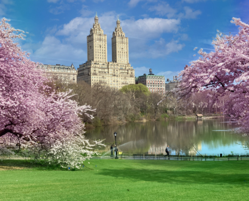 Central Park lake viewed from Cherry Hill