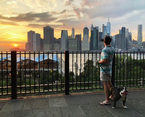 Views from Brooklyn Heights Promenade, seen during the Brooklyn Bridge NYC Walking Tour