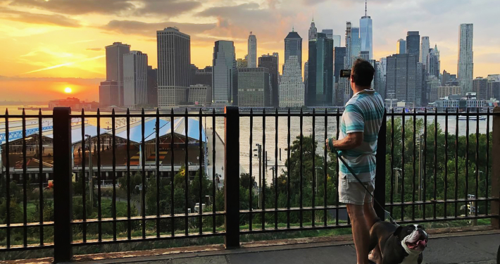Views from Brooklyn Heights Promenade, seen during the Brooklyn Bridge NYC Walking Tour
