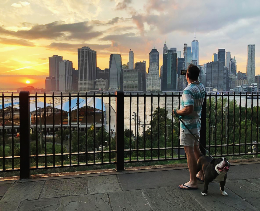 Views from Brooklyn Heights Promenade, seen during the Brooklyn Bridge NYC Walking Tour